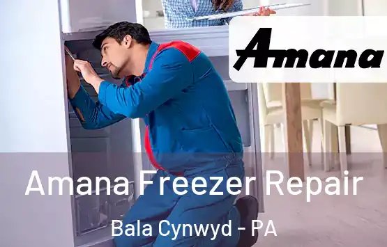  Amana Freezer Repair Bala Cynwyd - PA
