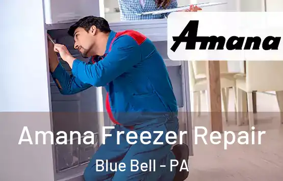  Amana Freezer Repair Blue Bell - PA