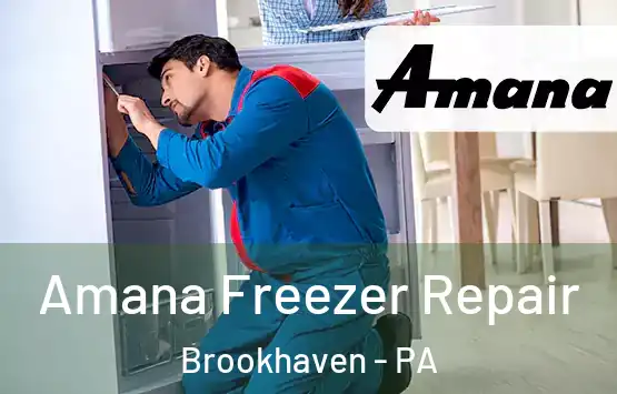  Amana Freezer Repair Brookhaven - PA