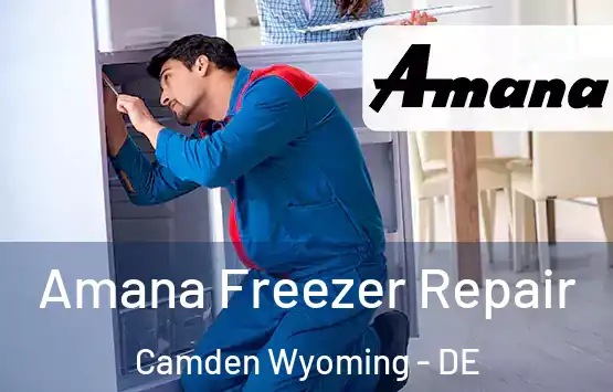  Amana Freezer Repair Camden Wyoming - DE
