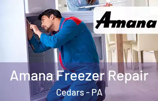  Amana Freezer Repair Cedars - PA