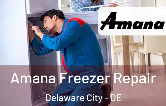  Amana Freezer Repair Delaware City - DE