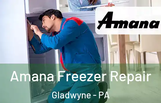 Amana Freezer Repair Gladwyne - PA