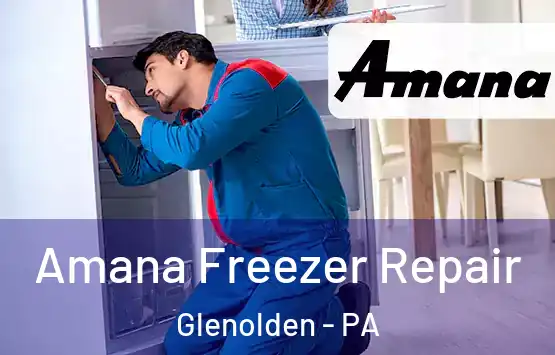  Amana Freezer Repair Glenolden - PA