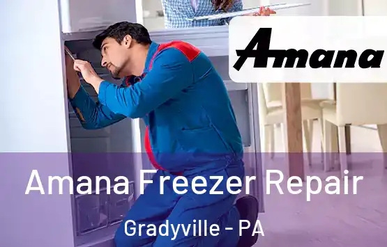  Amana Freezer Repair Gradyville - PA