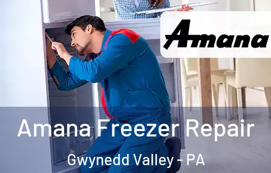  Amana Freezer Repair Gwynedd Valley - PA