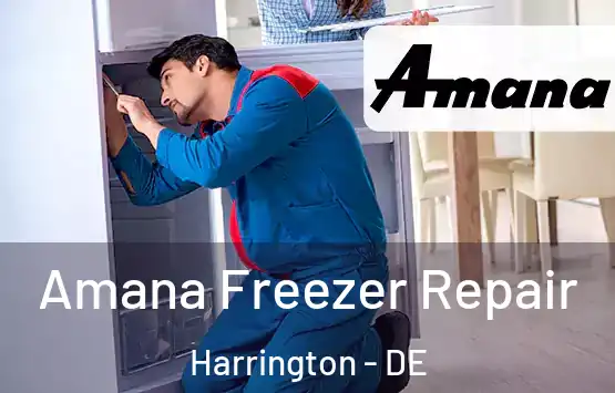  Amana Freezer Repair Harrington - DE