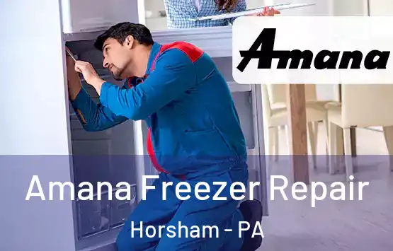  Amana Freezer Repair Horsham - PA