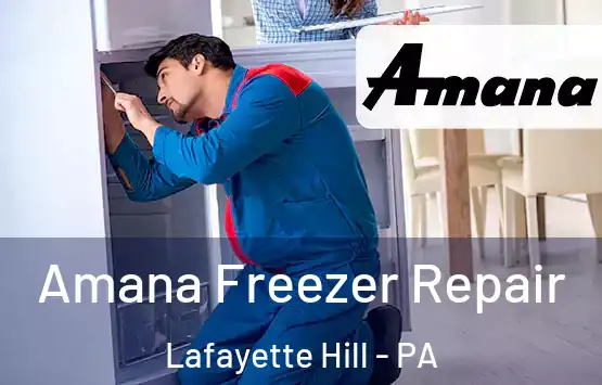  Amana Freezer Repair Lafayette Hill - PA