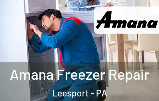  Amana Freezer Repair Leesport - PA