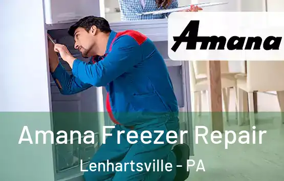  Amana Freezer Repair Lenhartsville - PA