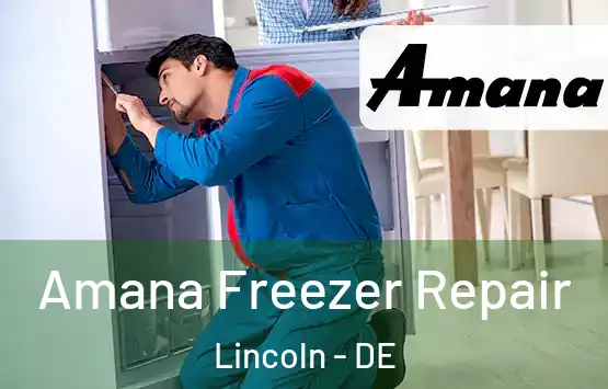  Amana Freezer Repair Lincoln - DE