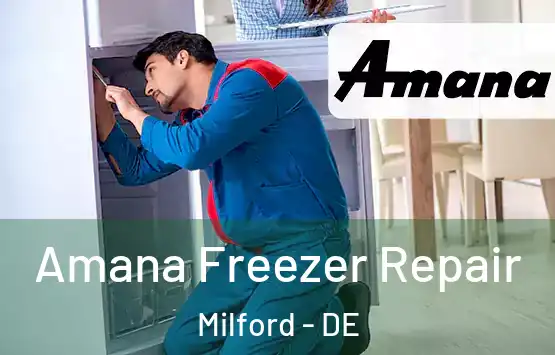  Amana Freezer Repair Milford - DE