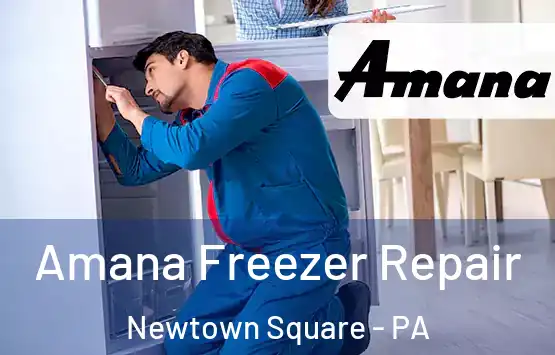  Amana Freezer Repair Newtown Square - PA