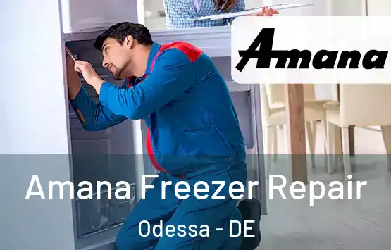  Amana Freezer Repair Odessa - DE