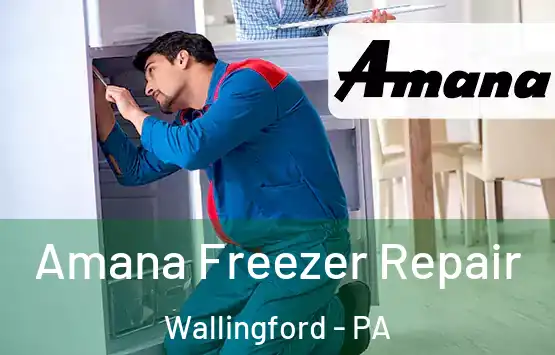  Amana Freezer Repair Wallingford - PA