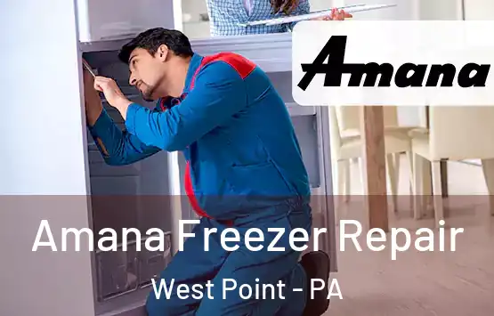  Amana Freezer Repair West Point - PA