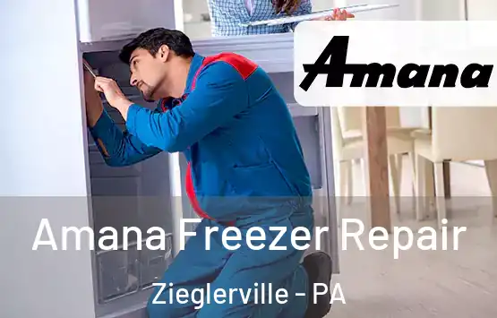  Amana Freezer Repair Zieglerville - PA