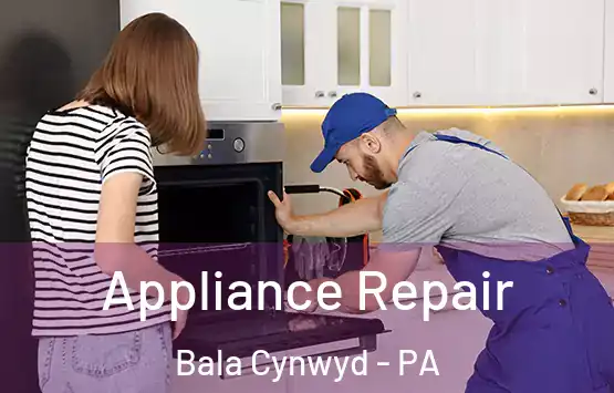  Appliance Repair Bala Cynwyd - PA