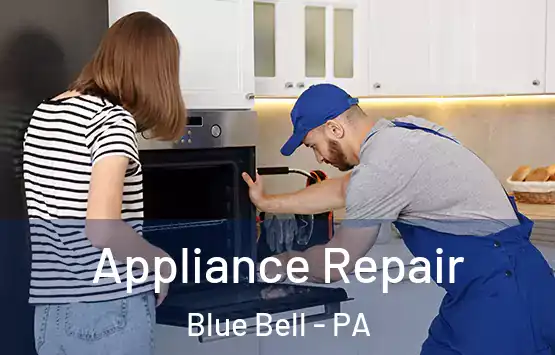  Appliance Repair Blue Bell - PA