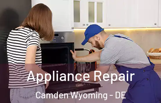  Appliance Repair Camden Wyoming - DE