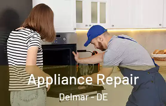  Appliance Repair Delmar - DE