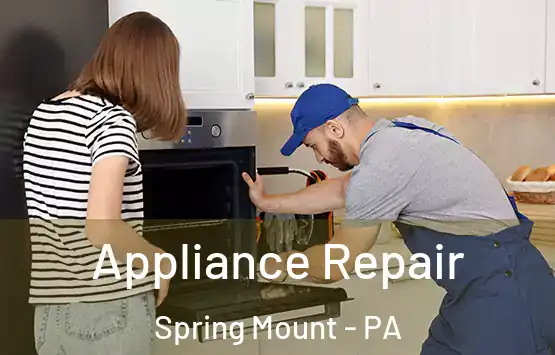  Appliance Repair Spring Mount - PA