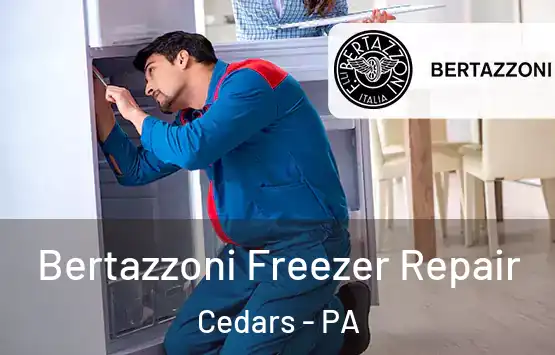  Bertazzoni Freezer Repair Cedars - PA