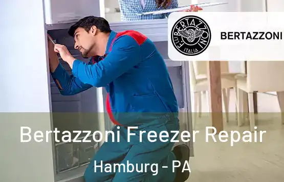  Bertazzoni Freezer Repair Hamburg - PA