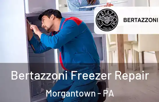  Bertazzoni Freezer Repair Morgantown - PA