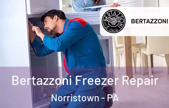  Bertazzoni Freezer Repair Norristown - PA