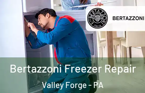  Bertazzoni Freezer Repair Valley Forge - PA