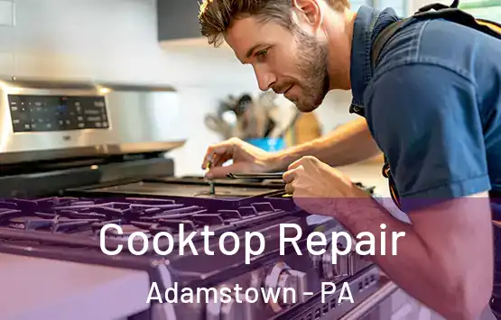  Cooktop Repair Adamstown - PA