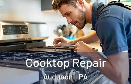  Cooktop Repair Audubon - PA