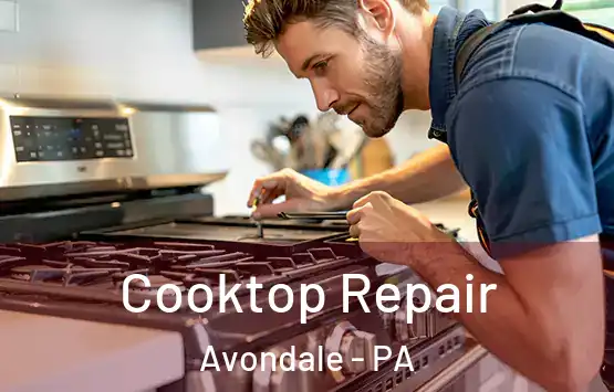  Cooktop Repair Avondale - PA