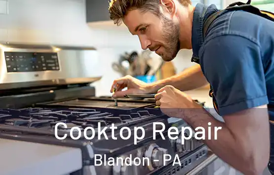  Cooktop Repair Blandon - PA