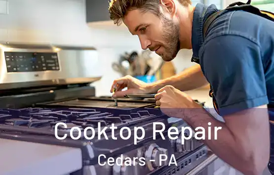  Cooktop Repair Cedars - PA