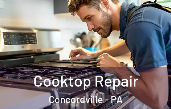  Cooktop Repair Concordville - PA