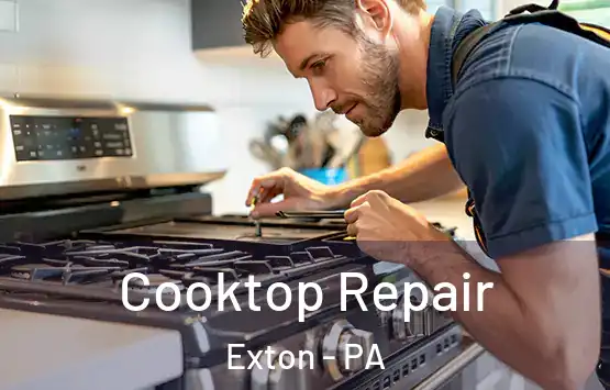  Cooktop Repair Exton - PA