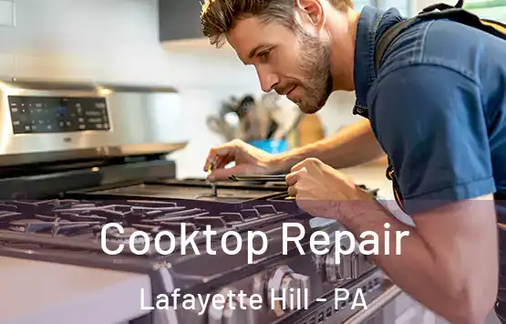  Cooktop Repair Lafayette Hill - PA