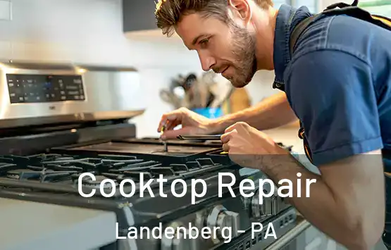  Cooktop Repair Landenberg - PA