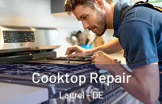  Cooktop Repair Laurel - DE