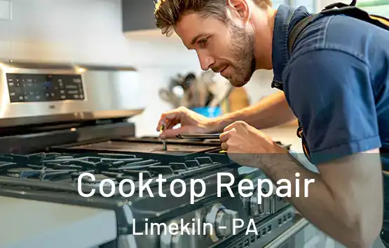  Cooktop Repair Limekiln - PA