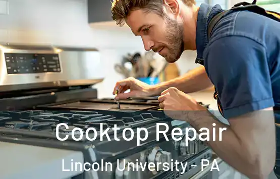  Cooktop Repair Lincoln University - PA