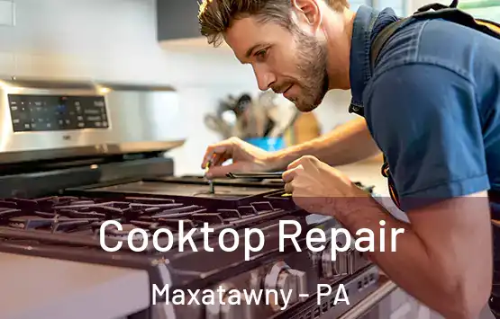  Cooktop Repair Maxatawny - PA