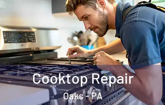  Cooktop Repair Oaks - PA