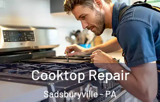  Cooktop Repair Sadsburyville - PA