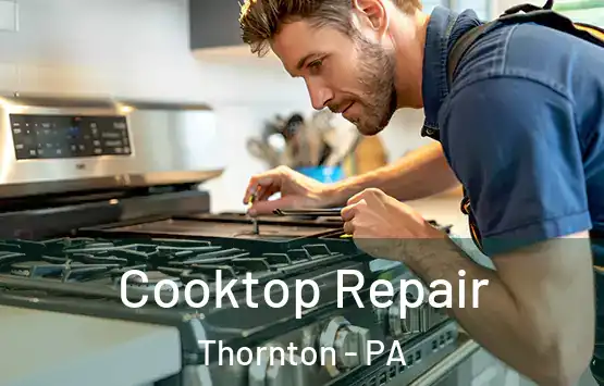  Cooktop Repair Thornton - PA