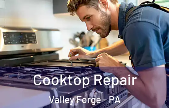  Cooktop Repair Valley Forge - PA