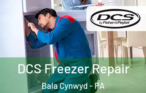  DCS Freezer Repair Bala Cynwyd - PA